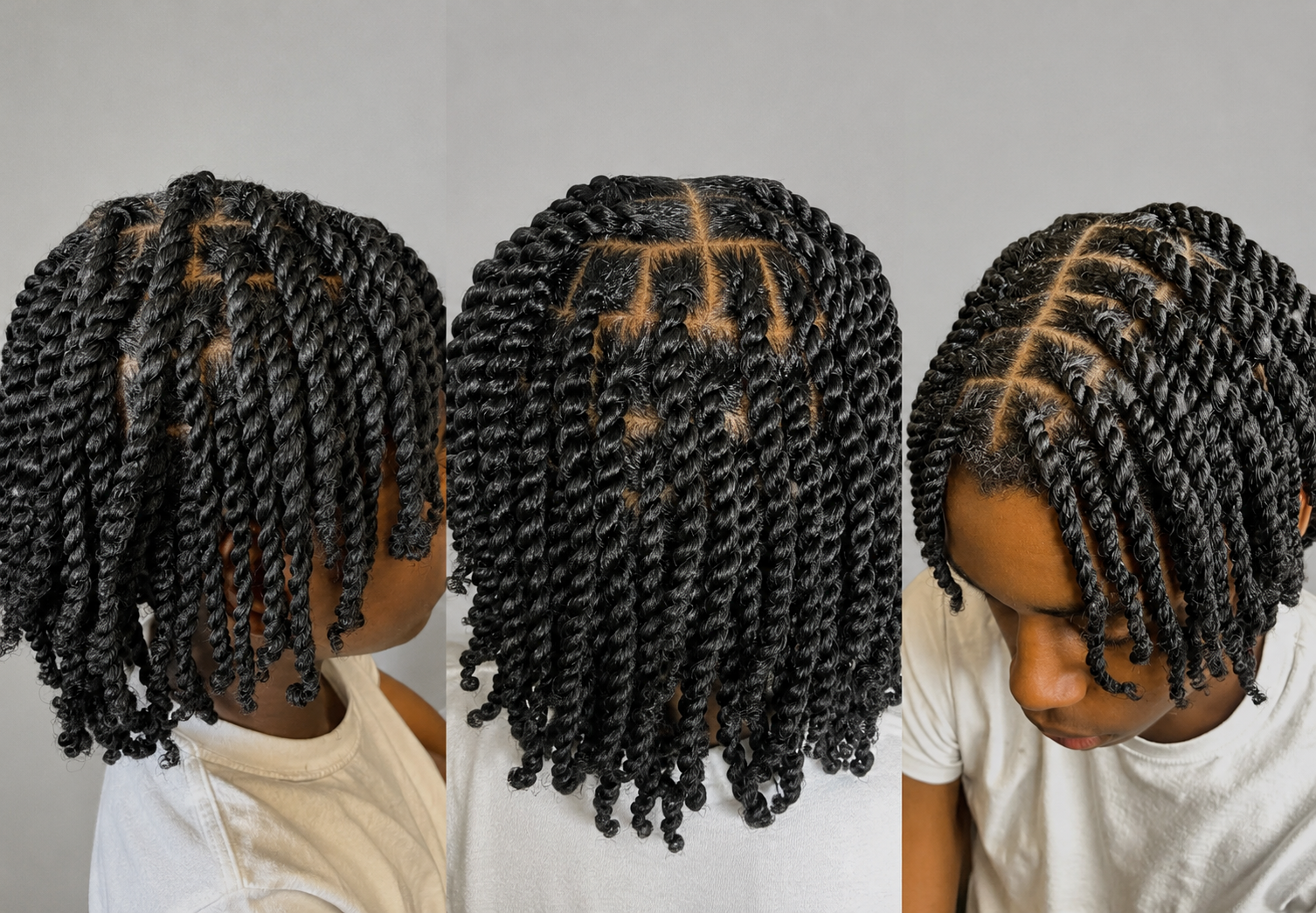 Braids by Dale — Two Strand Twist